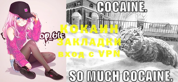 МДПВ Карпинск
