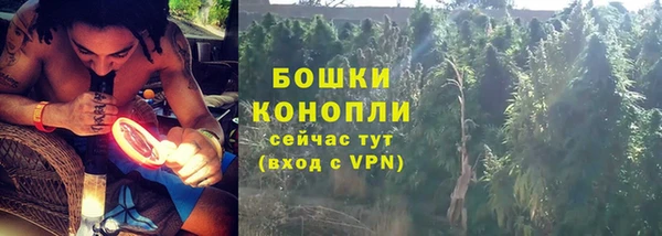 МДПВ Карпинск